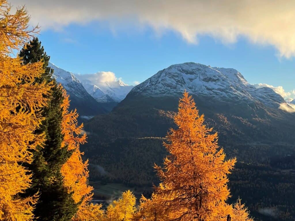 SMA Members’ Meeting in Pontresina